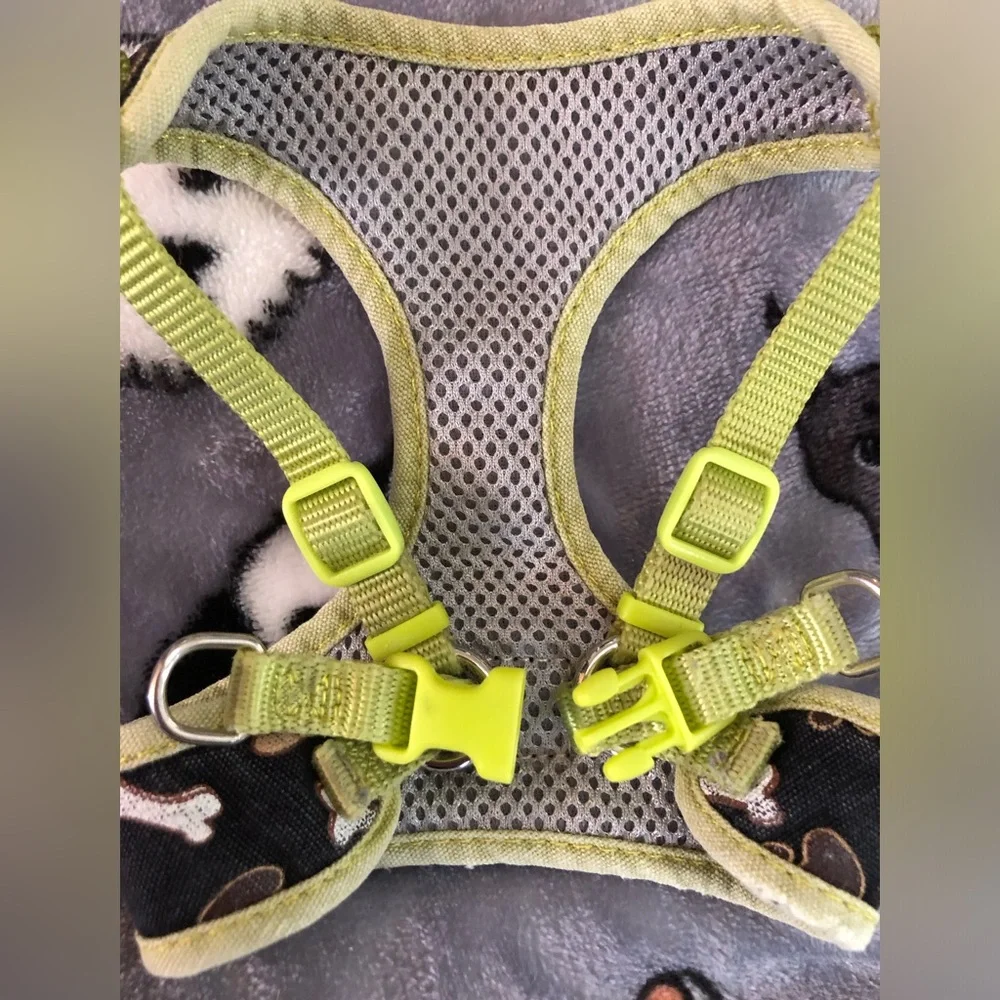 Small lap dog Harness🐶🐾🐾🐾🐾